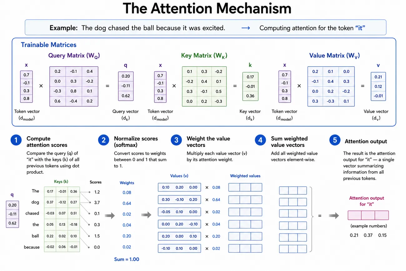 How attention is computed for the token "it" in the sentence "The dog chased the ball because it was excited". Three trainable matrices — query, key and value — each multiply the token's vector to produce its query, key and value vector. Then five steps: the query for "it" is compared by dot product with the keys of every preceding token to give attention scores; softmax normalizes those scores into weights between 0 and 1 that sum to 1, with "dog" taking the largest weight at 0.64; each preceding token's value vector is multiplied by its weight; the weighted value vectors are added together element by element; and the sum is the attention output for "it", a single vector summarizing information from all preceding tokens.